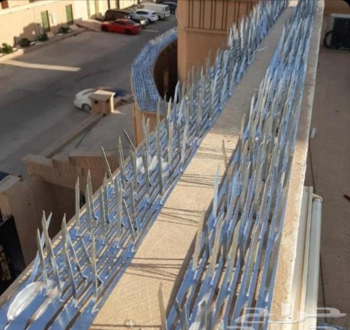 Annoying pigeon repellent installation of pigeon netting in Jeddah64249725711361113