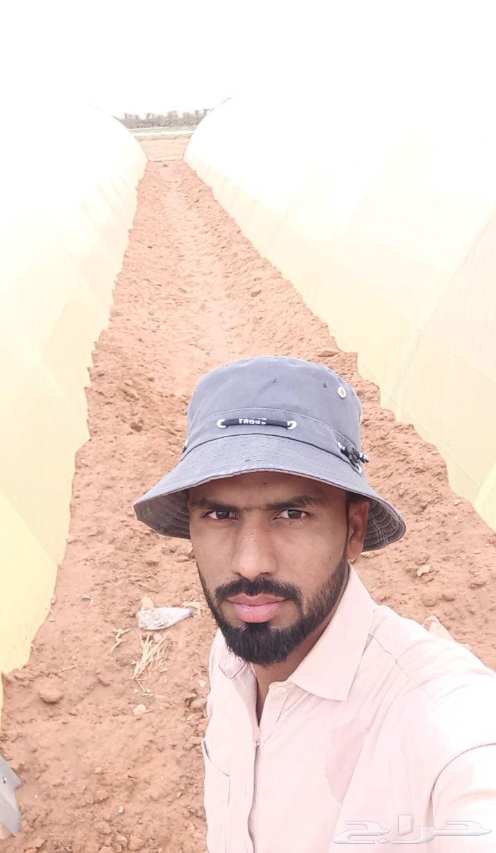 معلم بيوت محمي  ف  و تر يب64254155441922111