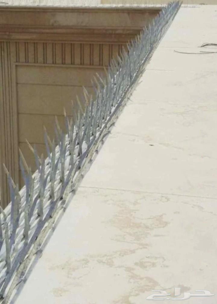 Bird netting deterrent64245001251459112