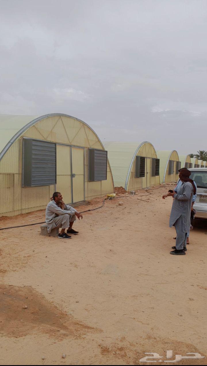 معلم بيوت محمي  ف  و تر يب64254155441922112