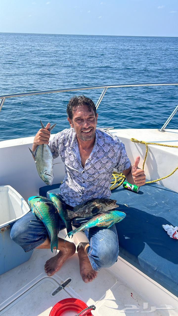 Sea trip, fishing trip, white island trip, hourly trips of various types64254666159875111