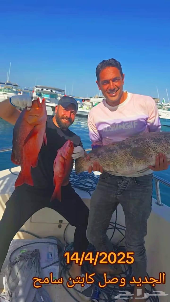 Sea trip, fishing trip, white island trip, hourly trips of various types64254666159875114