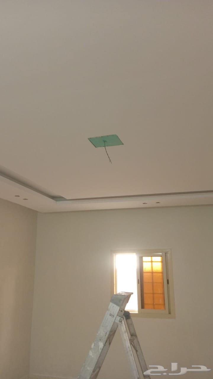 معلم جبس بورد وجبس عادي سقف مستعار سيمن  بورد جيدارر جبس بور64254823977091112