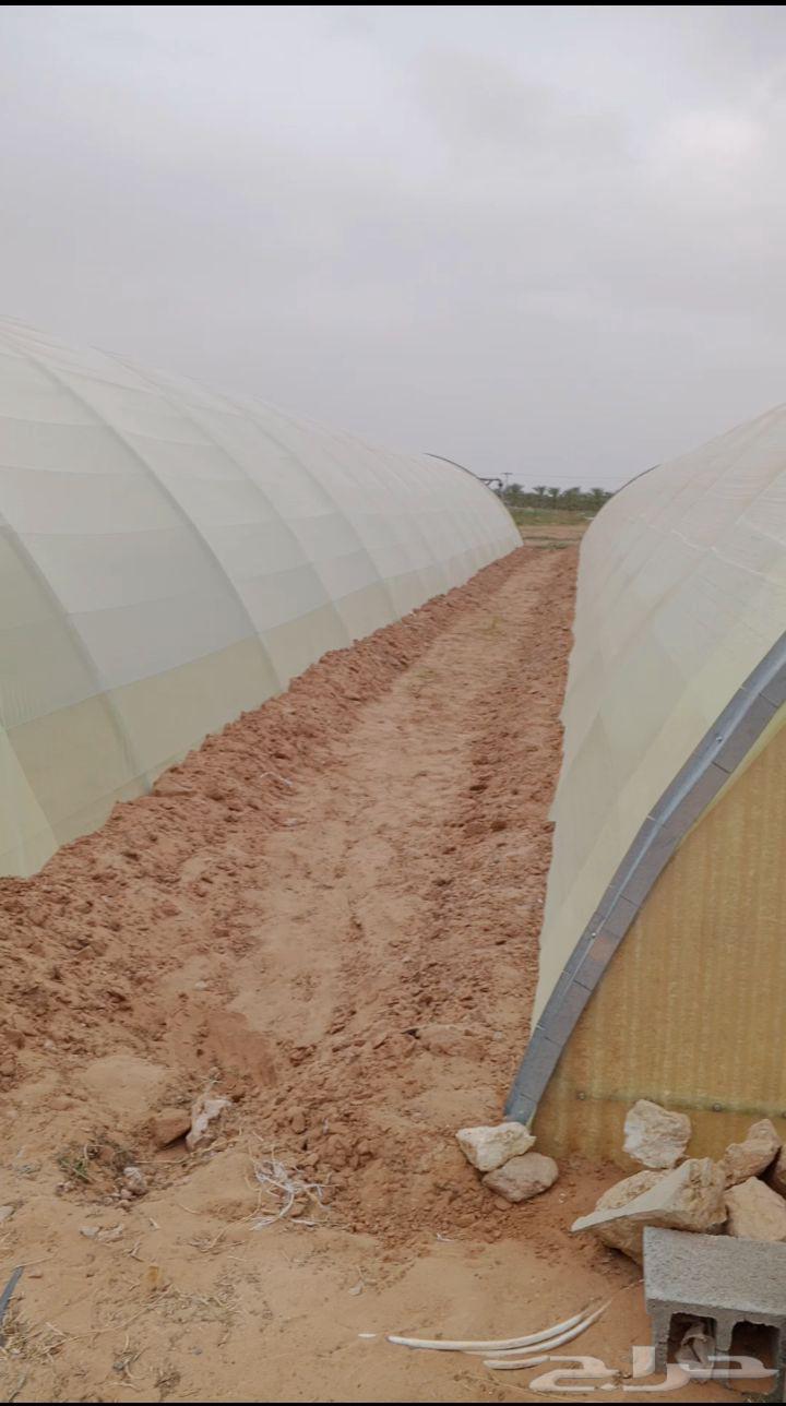 معلم بيوت محمي  ف  و تر يب64254155441922113