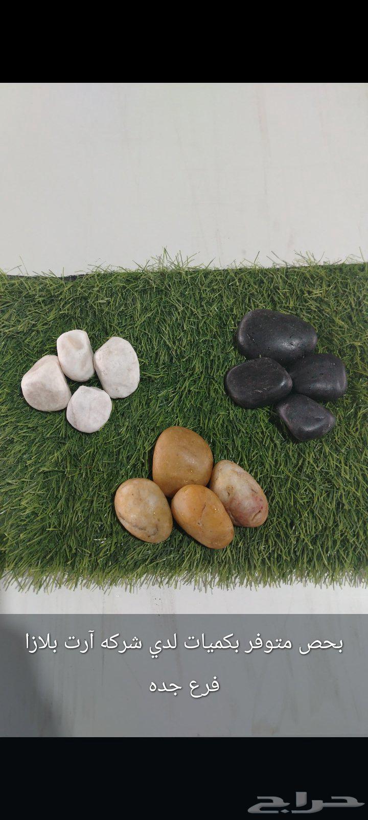 تنسيق حدائق وزراعه وتنظيف النخيل64250136549377113