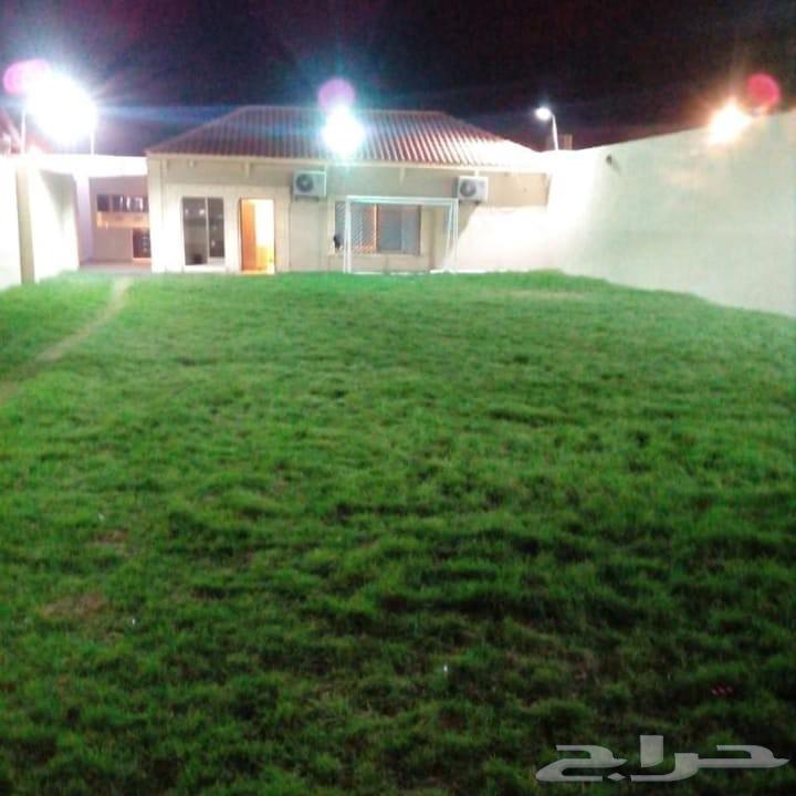 استراحه للايجار اليومي64254143880451112