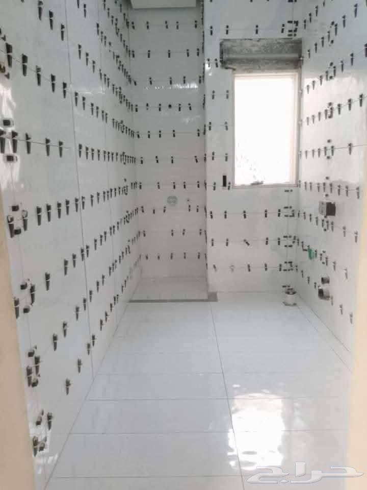 معلم سيراميك وبورسلان وباركيه ورخام مصري64254823623553112