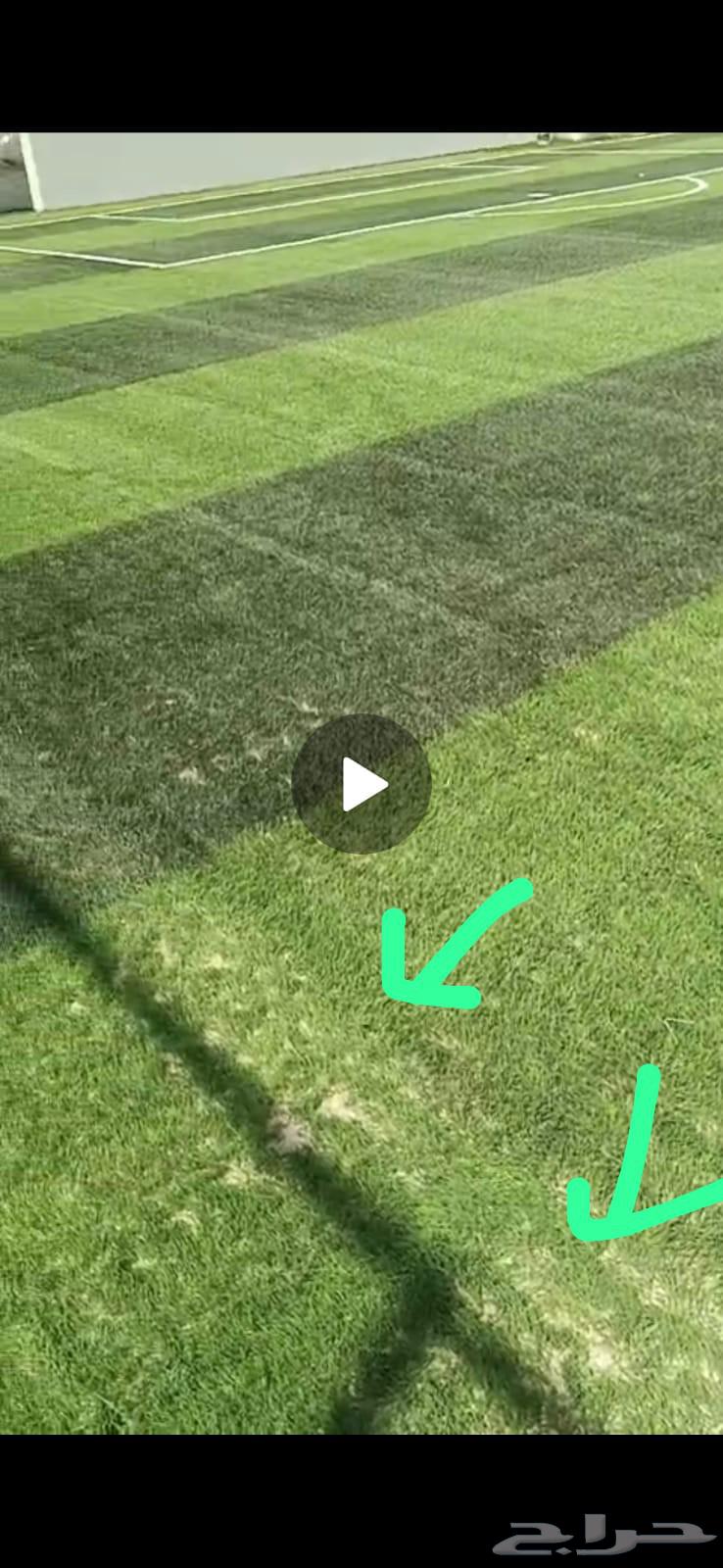 I am a master carpenter for installing playgrounds, decorations, or gardens, German place64254508314113111