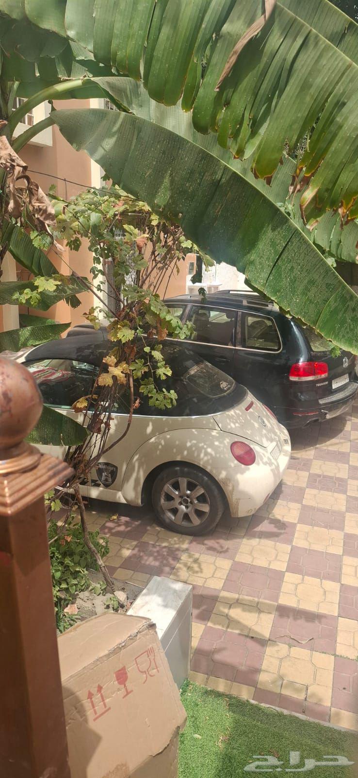 توصيل مشاوير داخل وخارج الطايف64250137803393110