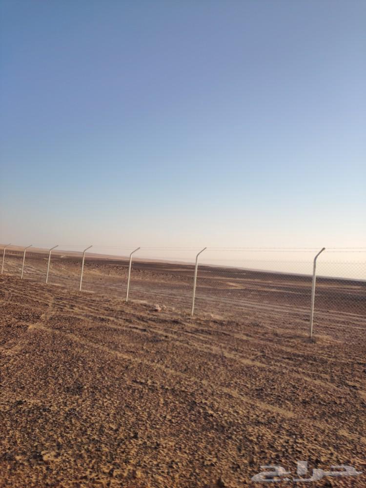 تركيب وتوريد جميع انواع الشبوك شبك64254669098881110