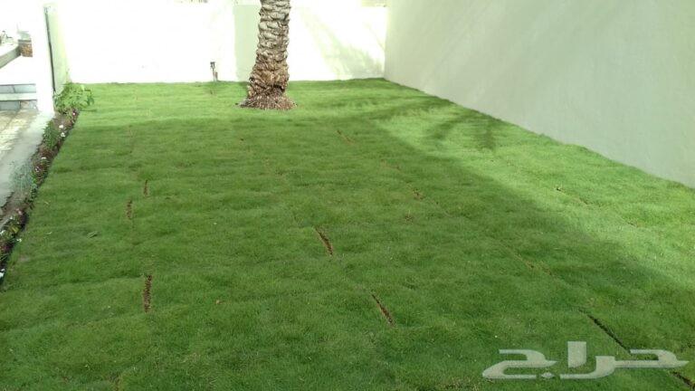 تنسيق حدائق وزراعه وتنظيف النخيل64250136549377111