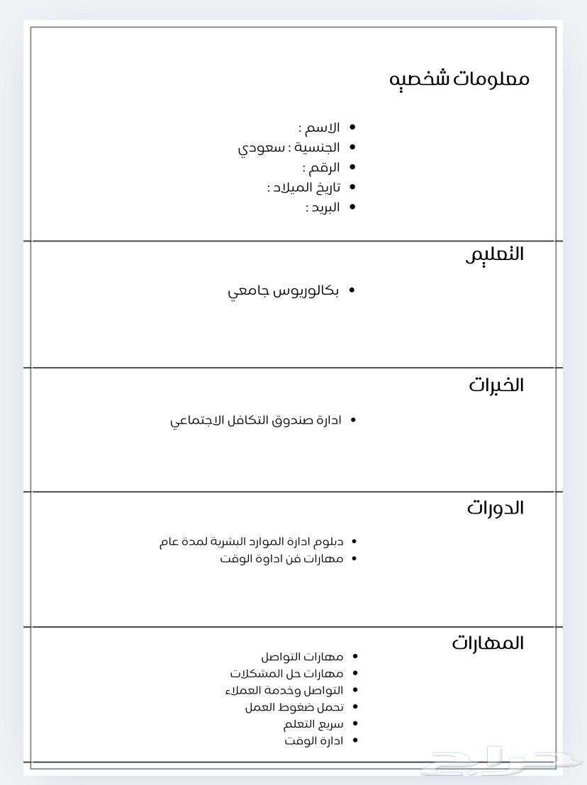 Professional CV in Arabic and English with concept maps64254155994241110