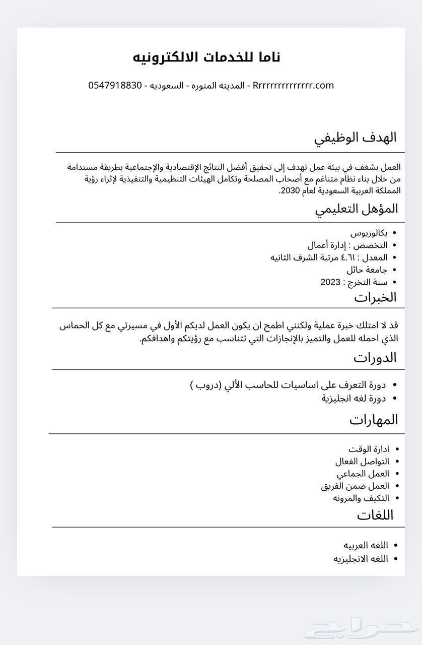 Professional CV in Arabic and English with concept maps64254155994241111