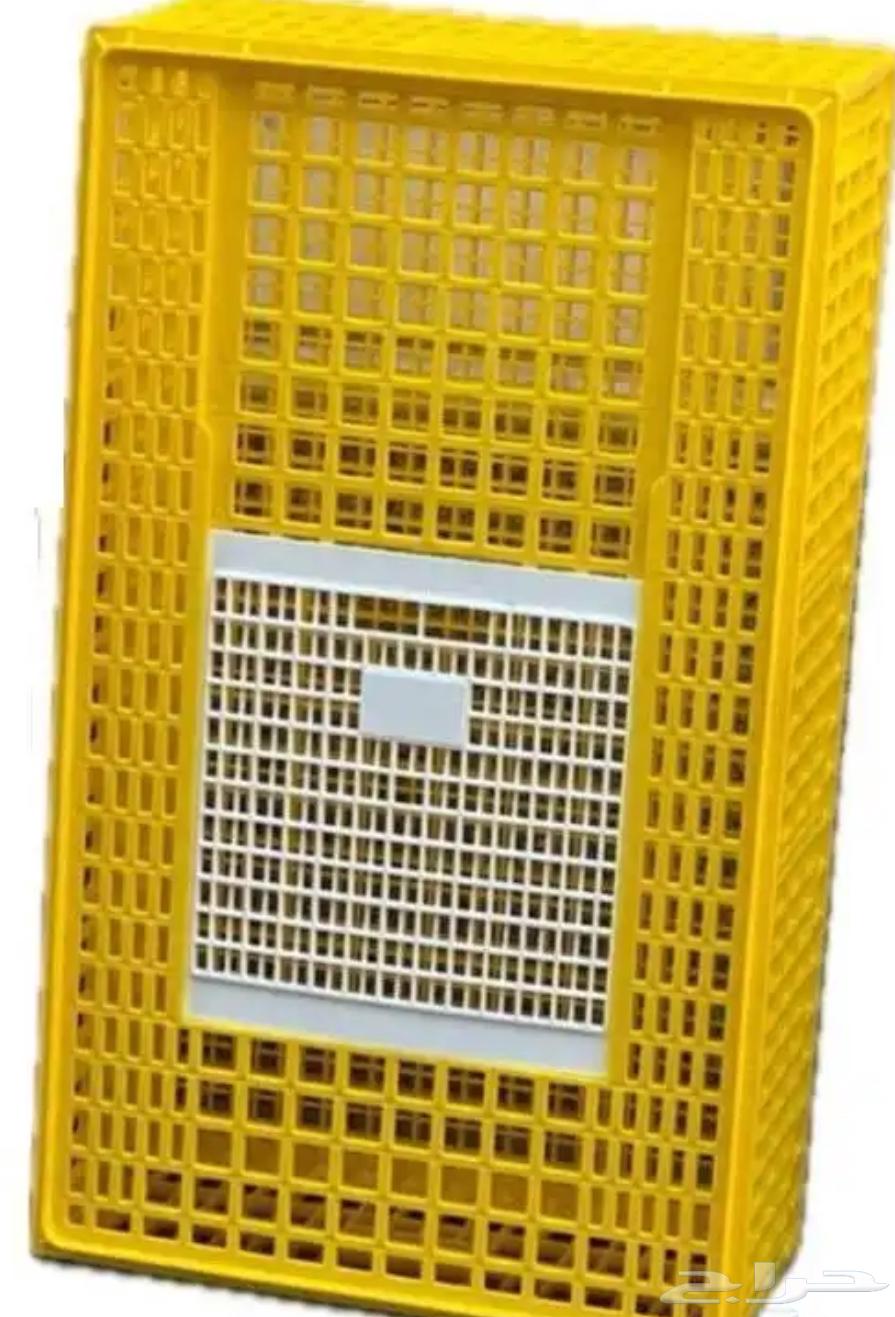 نقل وتوصيل دجاج حي64249939926018110