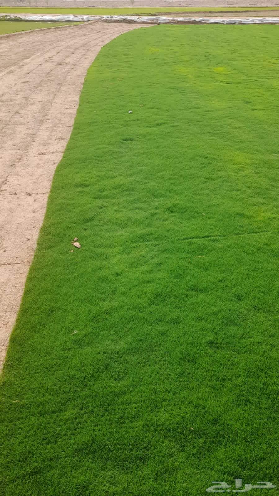 تنسيق حدائق تنفيذ ملاعب كره قدم معتمدة64254666505601110