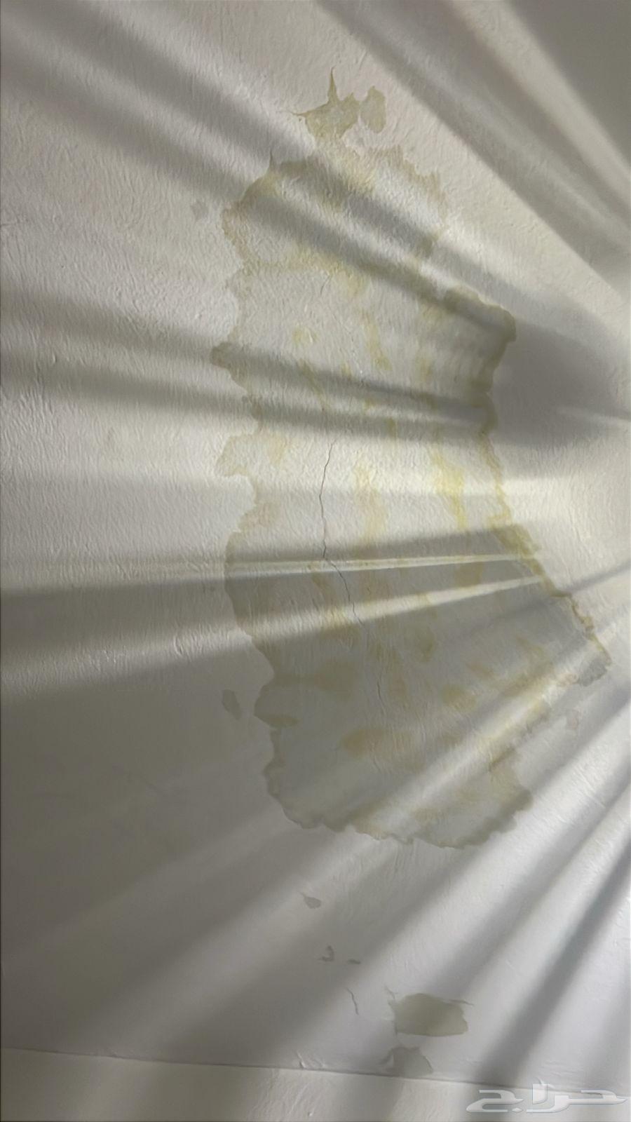 Water Leak Detection in Mecca, Water Leak Detection Company64253986839938114