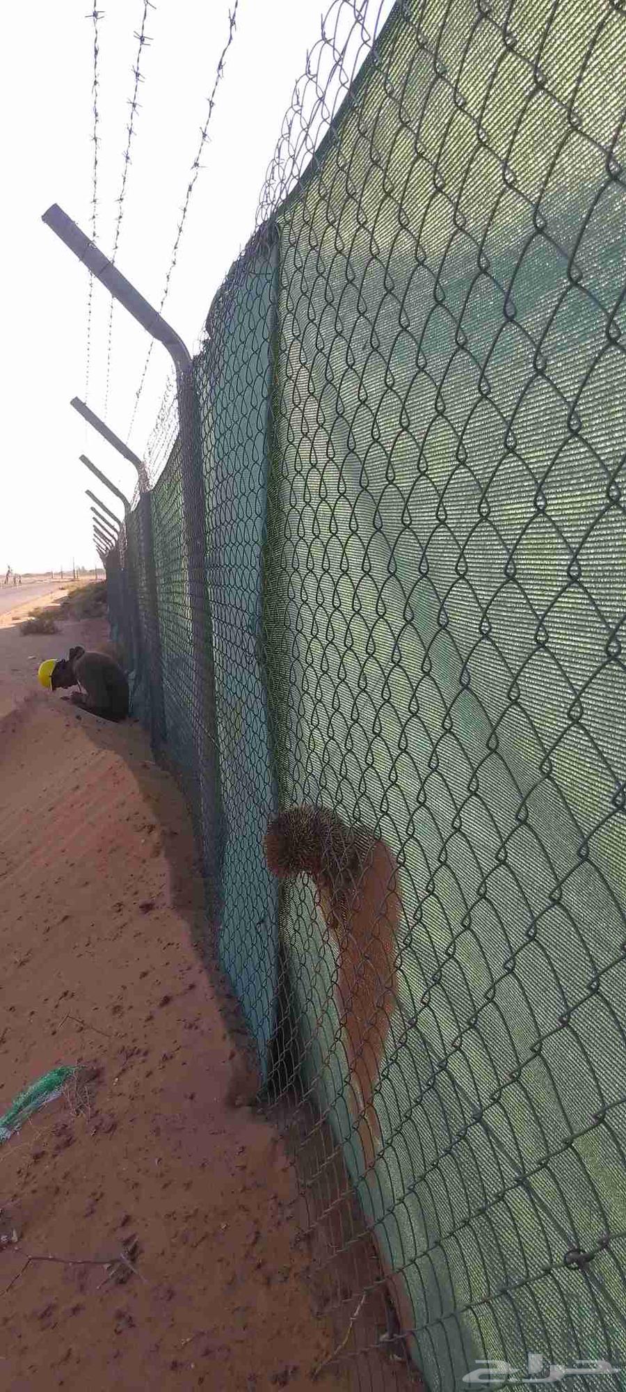 Farm fences of all types and in all areas of the kingdom64253987122563113