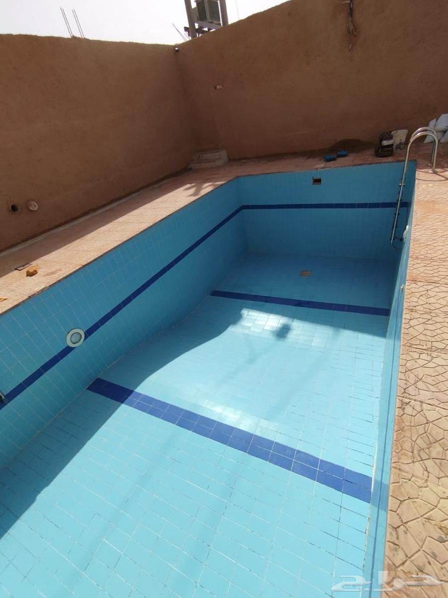 Pool Cleaning, Pool Maintenance, Pool Renovation, Pool Repair64254156103426111