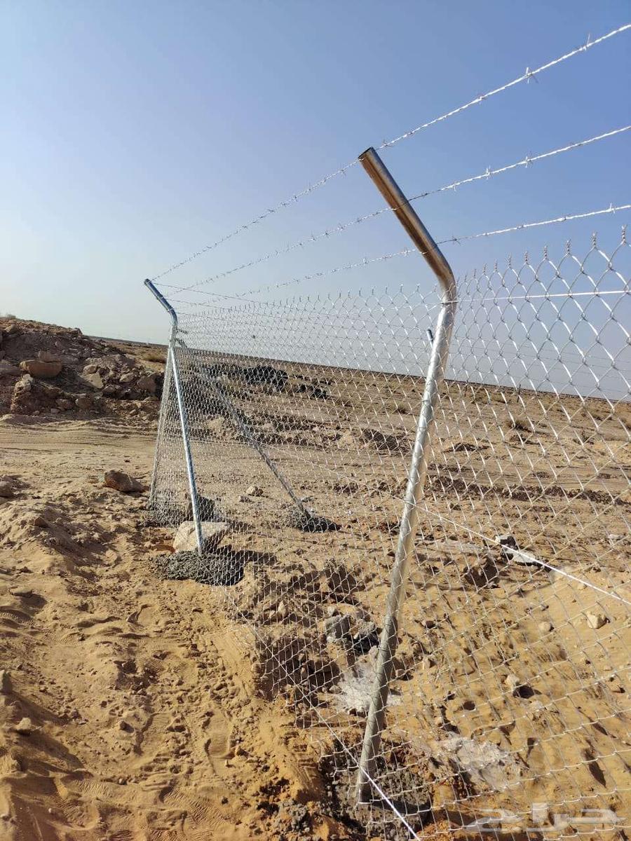 Installation of Fencing and Palm Tree Planting64249940934145114