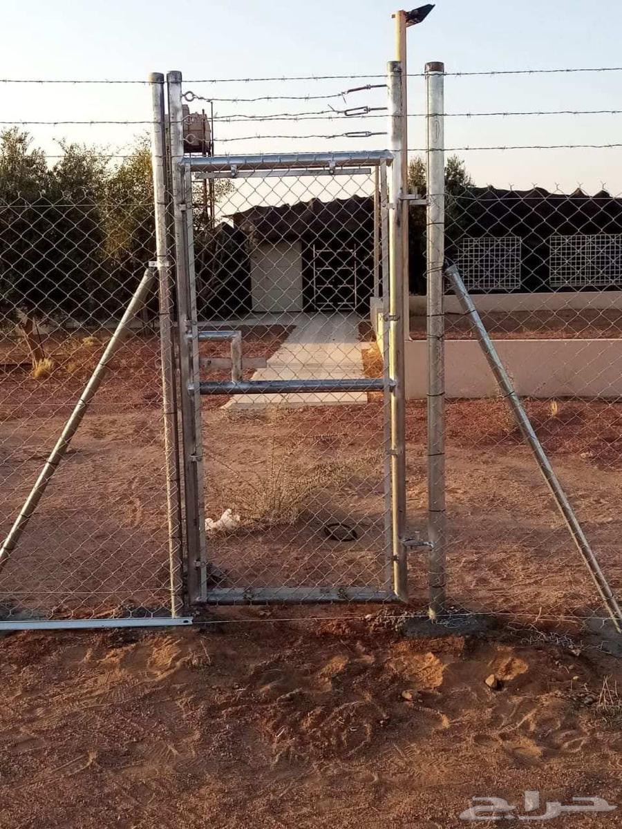 Installation of Fencing and Palm Tree Planting64249940934145112