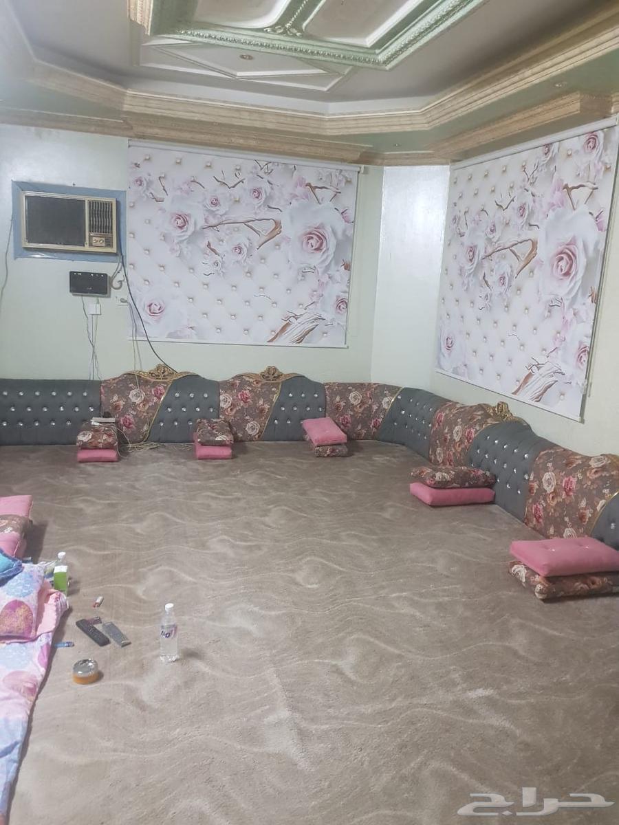 Home, villa, tank, and steam cleaning company in Mecca, pest control company in Mecca64244999710595111