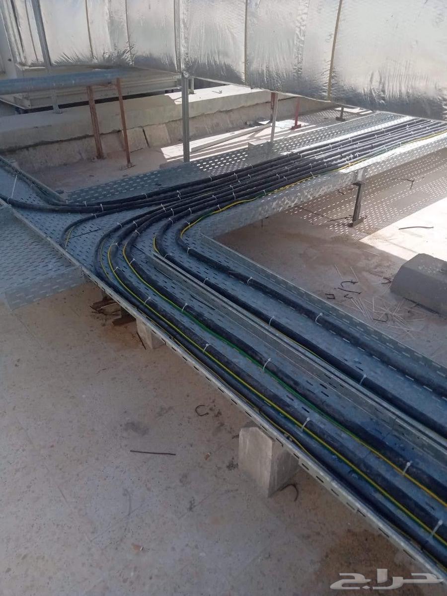 مقاول كهرباء64254824710529113