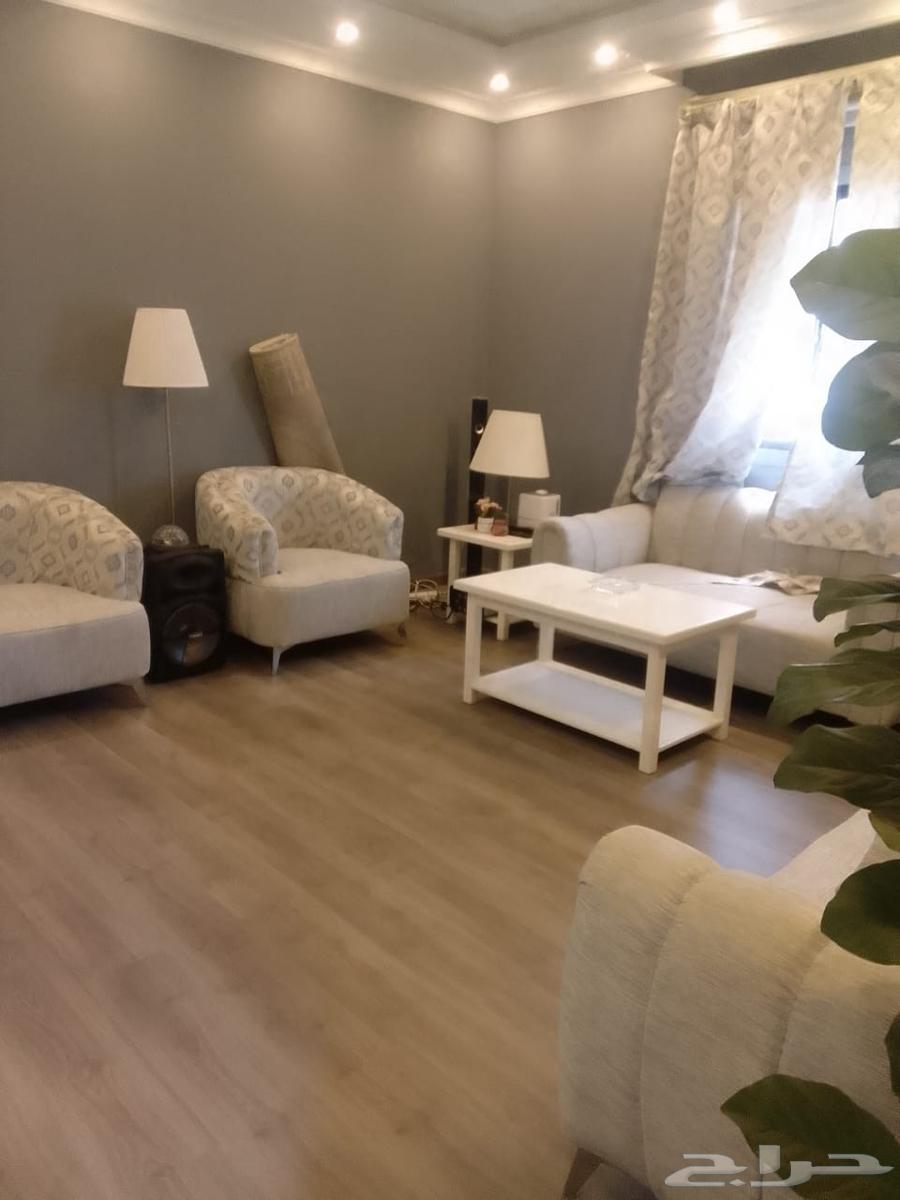 شركة تنظيف منازل64254955853826112