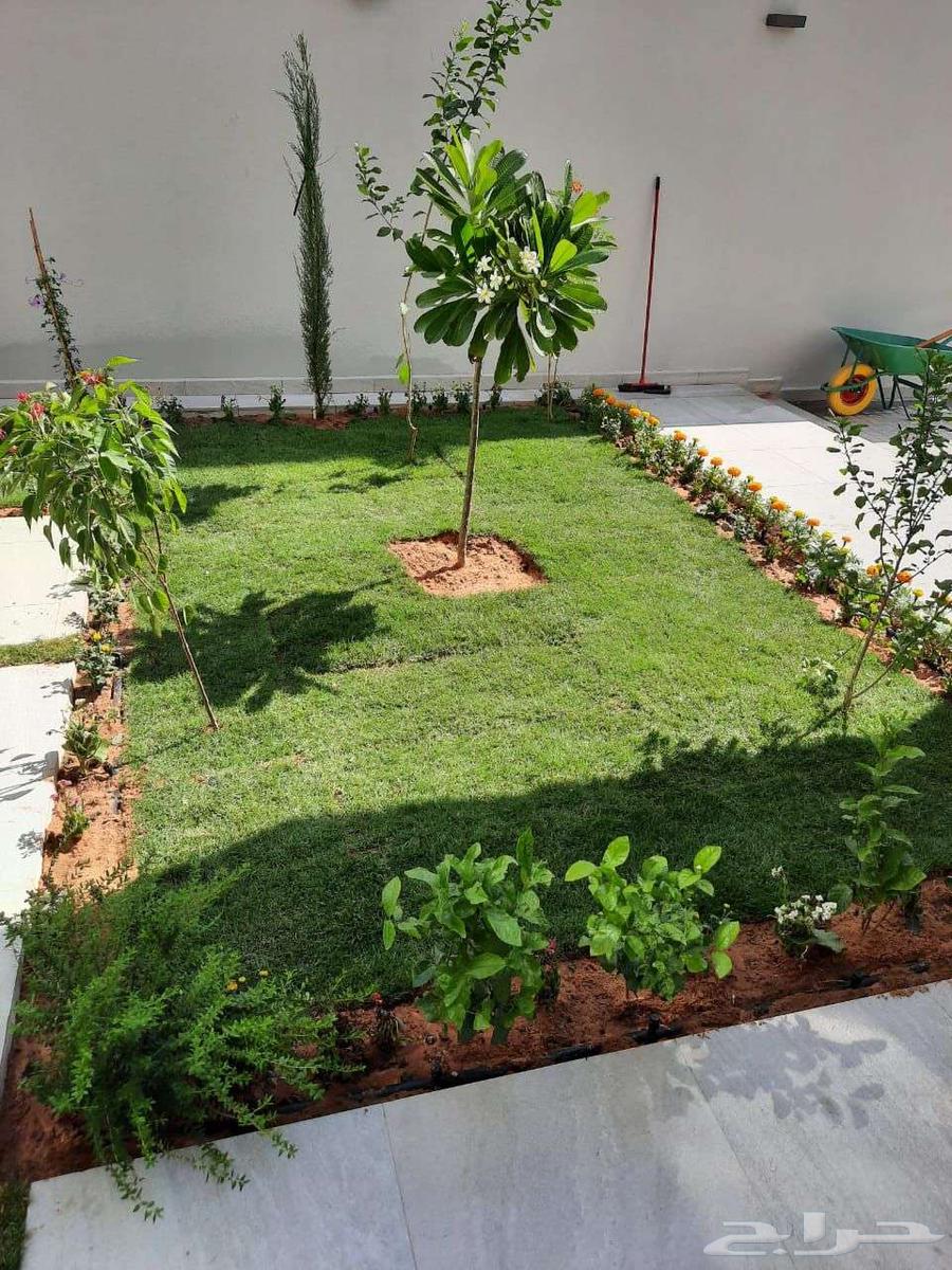 Landscaping and installation of all types of irrigation networks and artificial grass64254825763074112