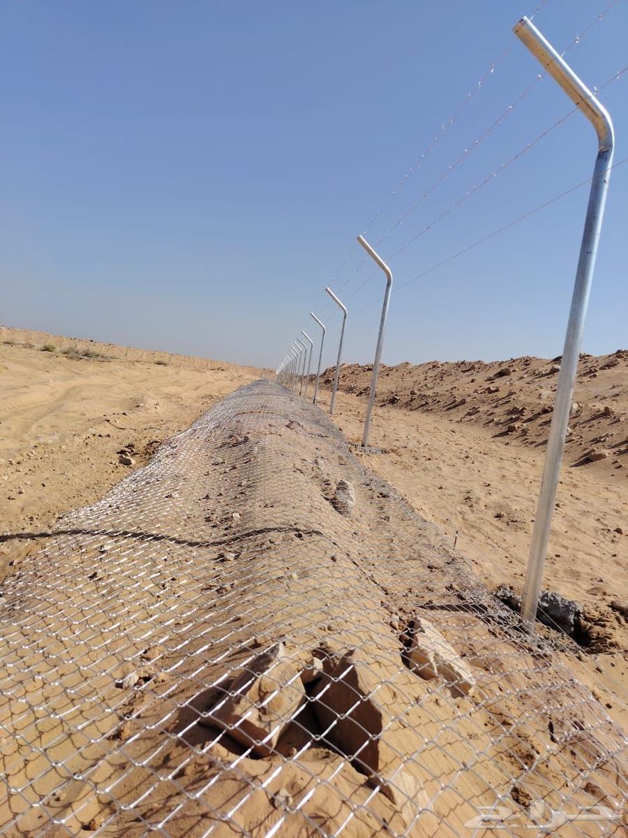 Installation of Fencing and Palm Tree Planting64249940934145113