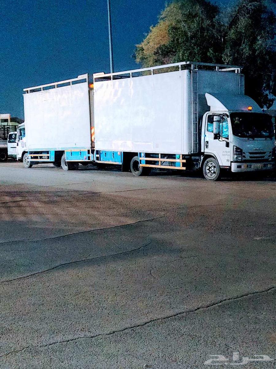 نقل عفش64249938242947112