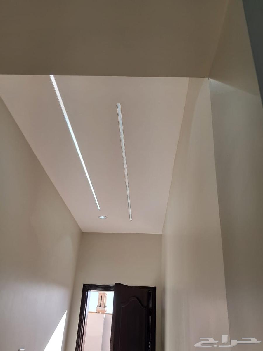 جبسم بورد دي ورات64254823562242111