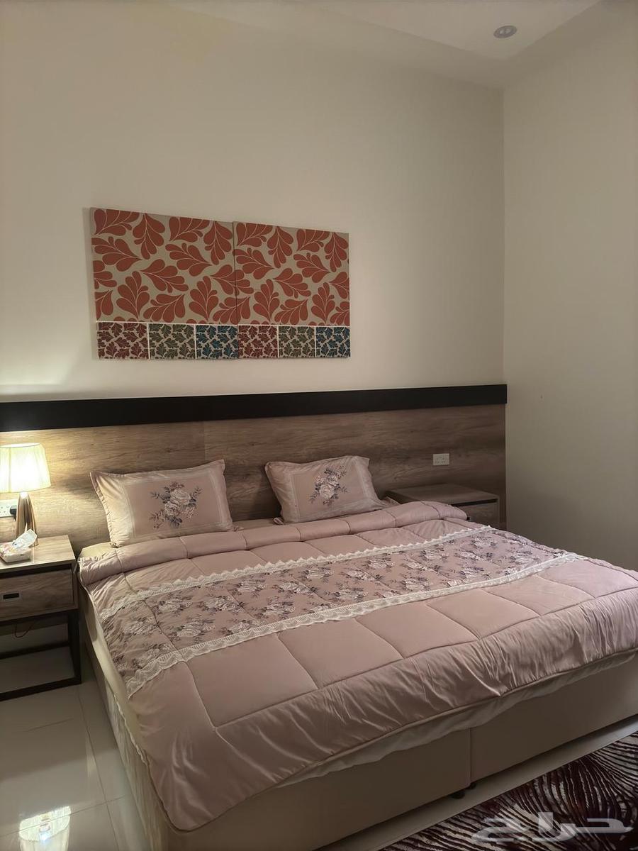 شقة مفروشة للإيجار في الوادي64249495442817110