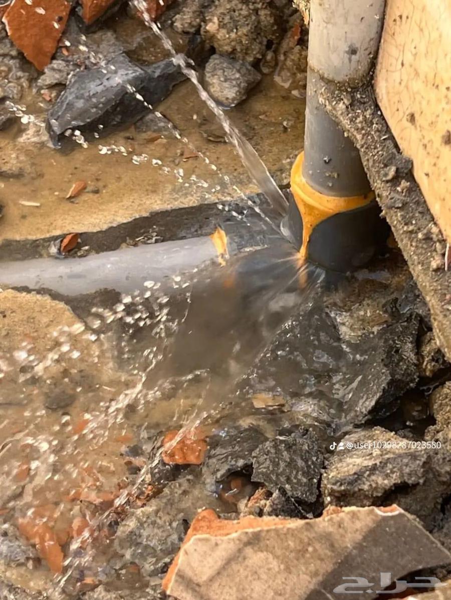 Water Leak Detection Company, Roof Insulation, and Tank Insulation64249938341378111