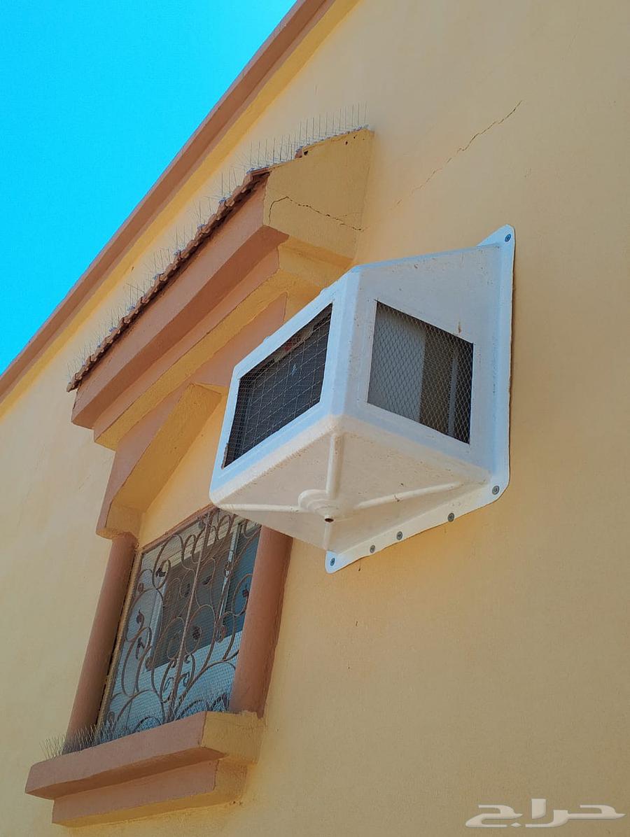 طرد الحمام شبابيك شوك64249724691329110