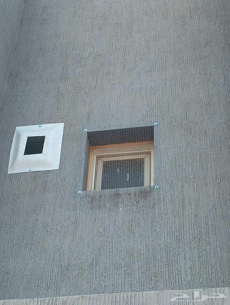 طرد الحمام شبابيك شوك64249724691329112