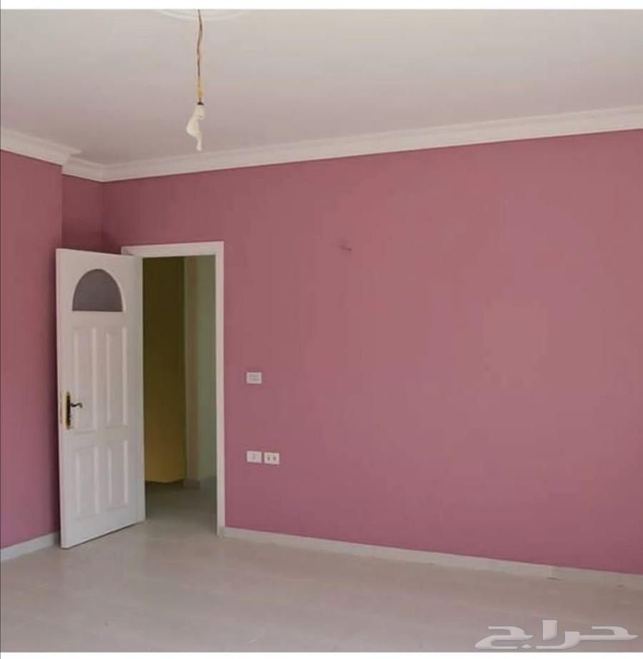 الدهانات داخليه وخارجيه ترميم المباني64254508219266111