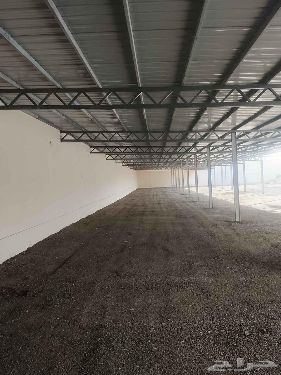 Blacksmith64469167310083110