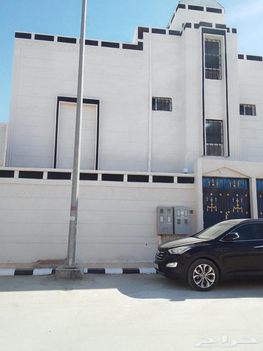 External decorations, price per meter 14 riyals including materials, contact us we deliver64169355335426112