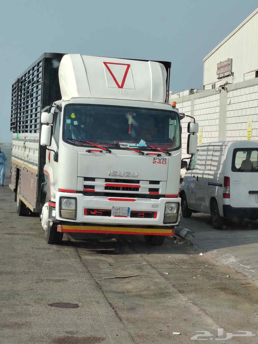 دينا نقل من الدمام64168918134786110