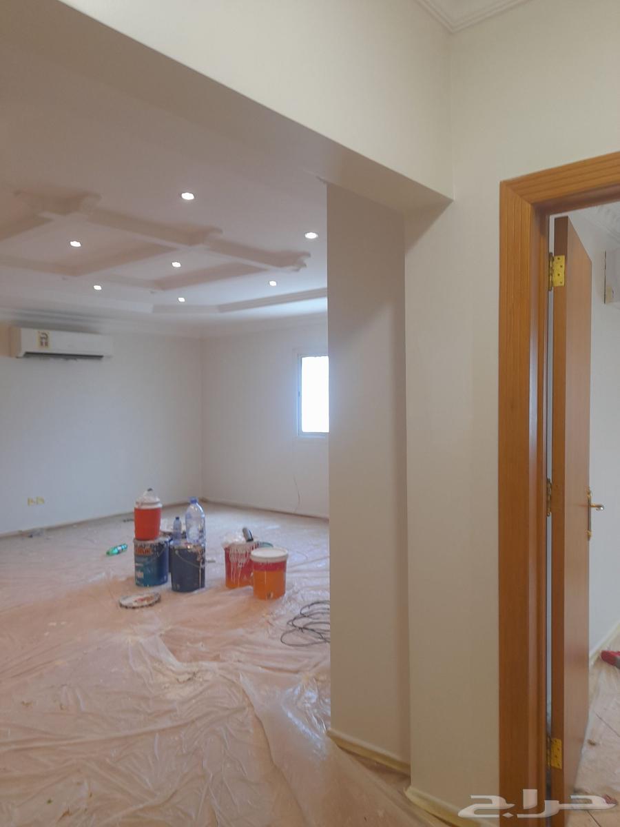 صباغ64168917934722110