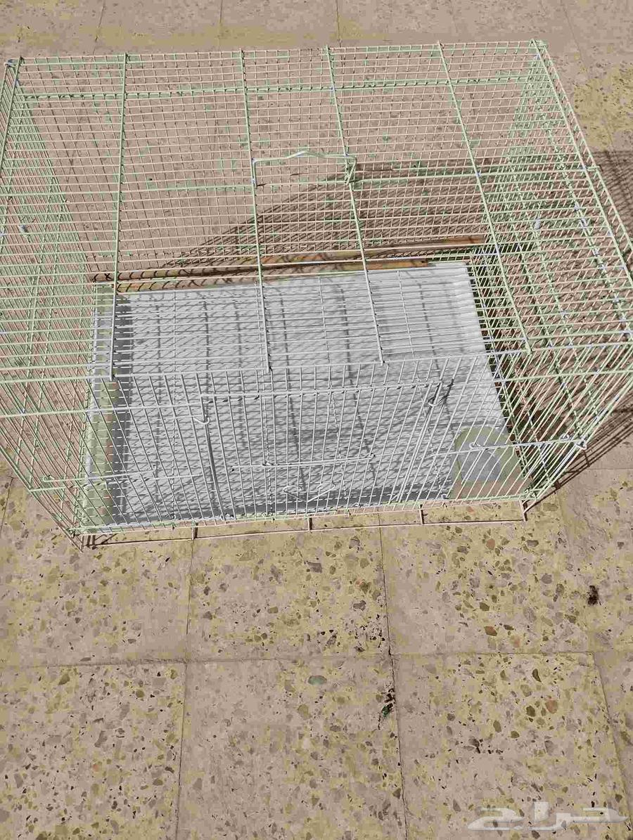 اقفاص ببغاوات64455522474753110