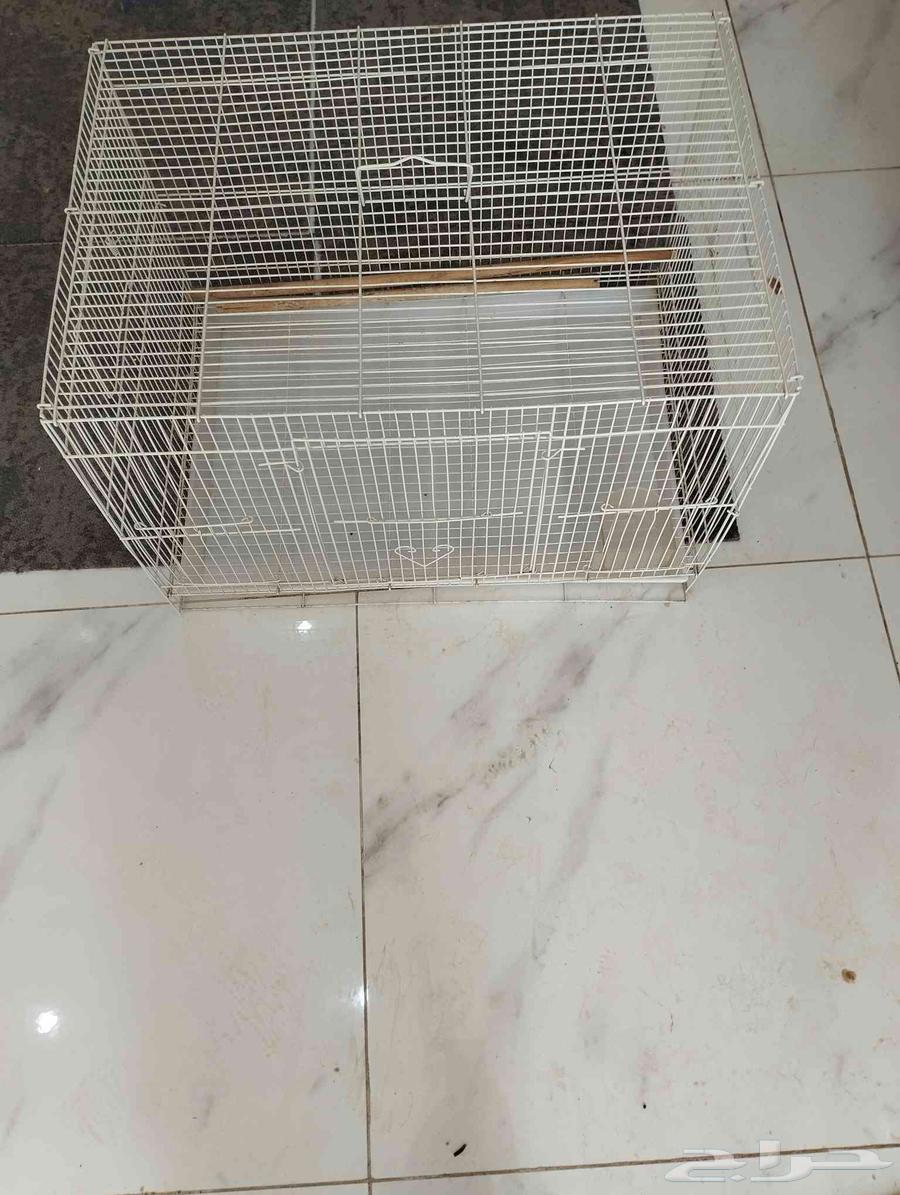 اقفاص ببغاوات64455522474753113