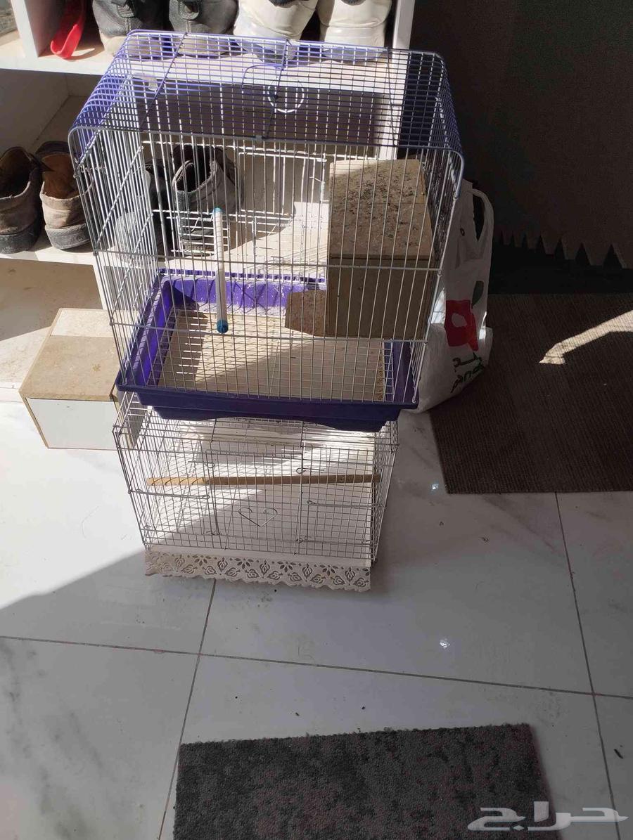 اقفاص ببغاوات64455522474753111