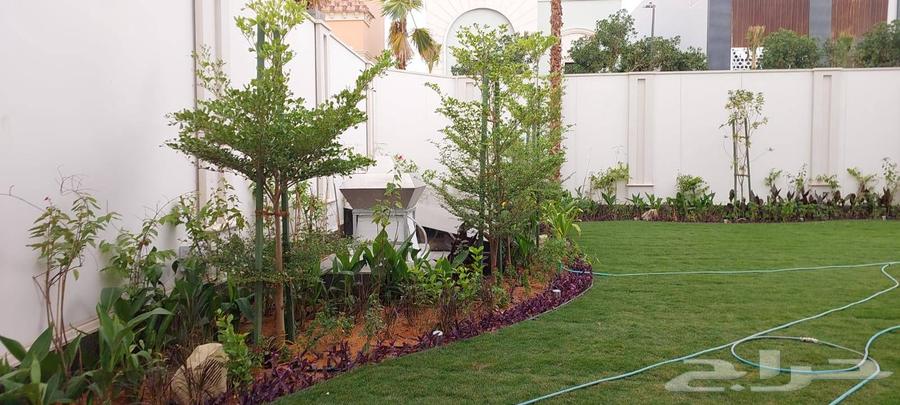تنسيق الحدائق وصيانة64169544035203111