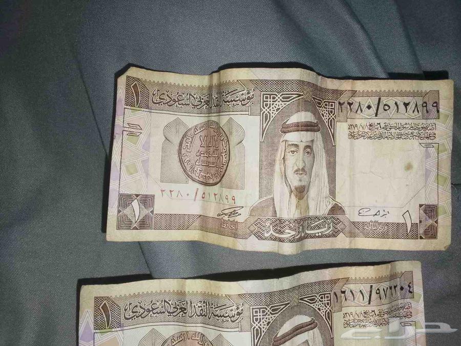 New washing machine, Italian stove, and fully functional from top to bottom64613426083841113