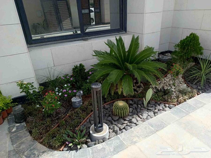 تنسيق الحدائق وصيانة64169544035203113