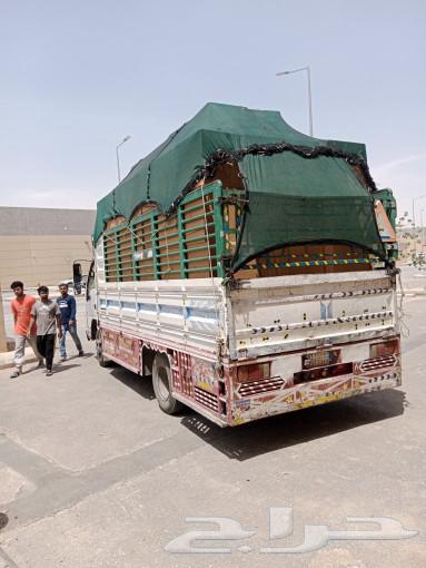 نقل عفش فك تركيب64207261774595110