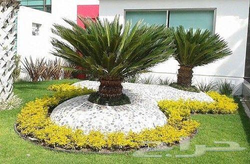 تنسيق الحدائق وصيانة64169544035203110