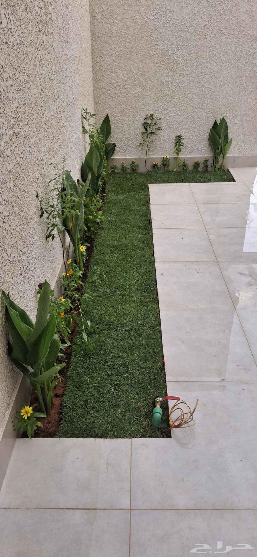 تنسيق الحدائق وصيانة64169544035203112