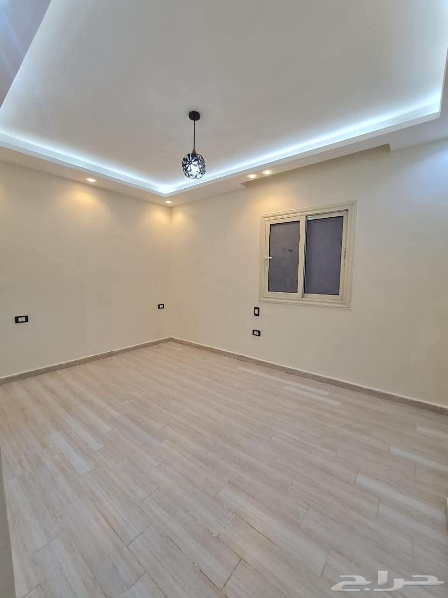 معلم دهانات بجده64169356528899114